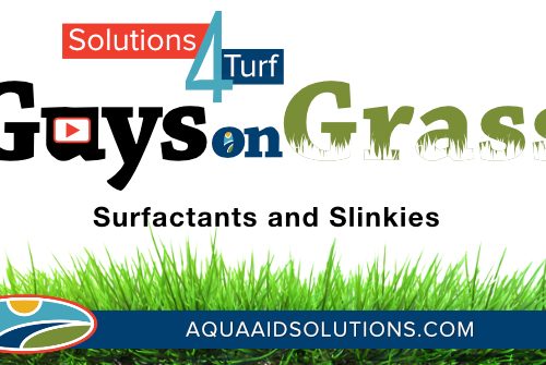 Guys on Grass: Surfactants and Slinkies