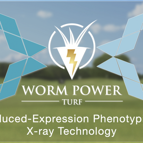 WATCH: An innovative turfgrass research collaboration, yielding an unprecedented look into Worm Power Turf
